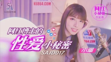 SA International Media SAJD017 Sex Secrets of Internet Celebrity Bloggers