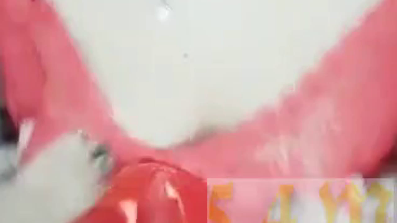 sintia Sange 2020-12-21 P