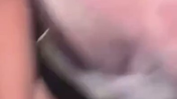 Bokep Premium Sex Ayang Ga Kuat Gemeter